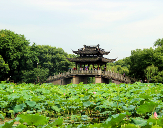 景點：曲院風荷