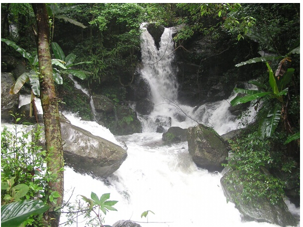 野趣溝風景區封面圖