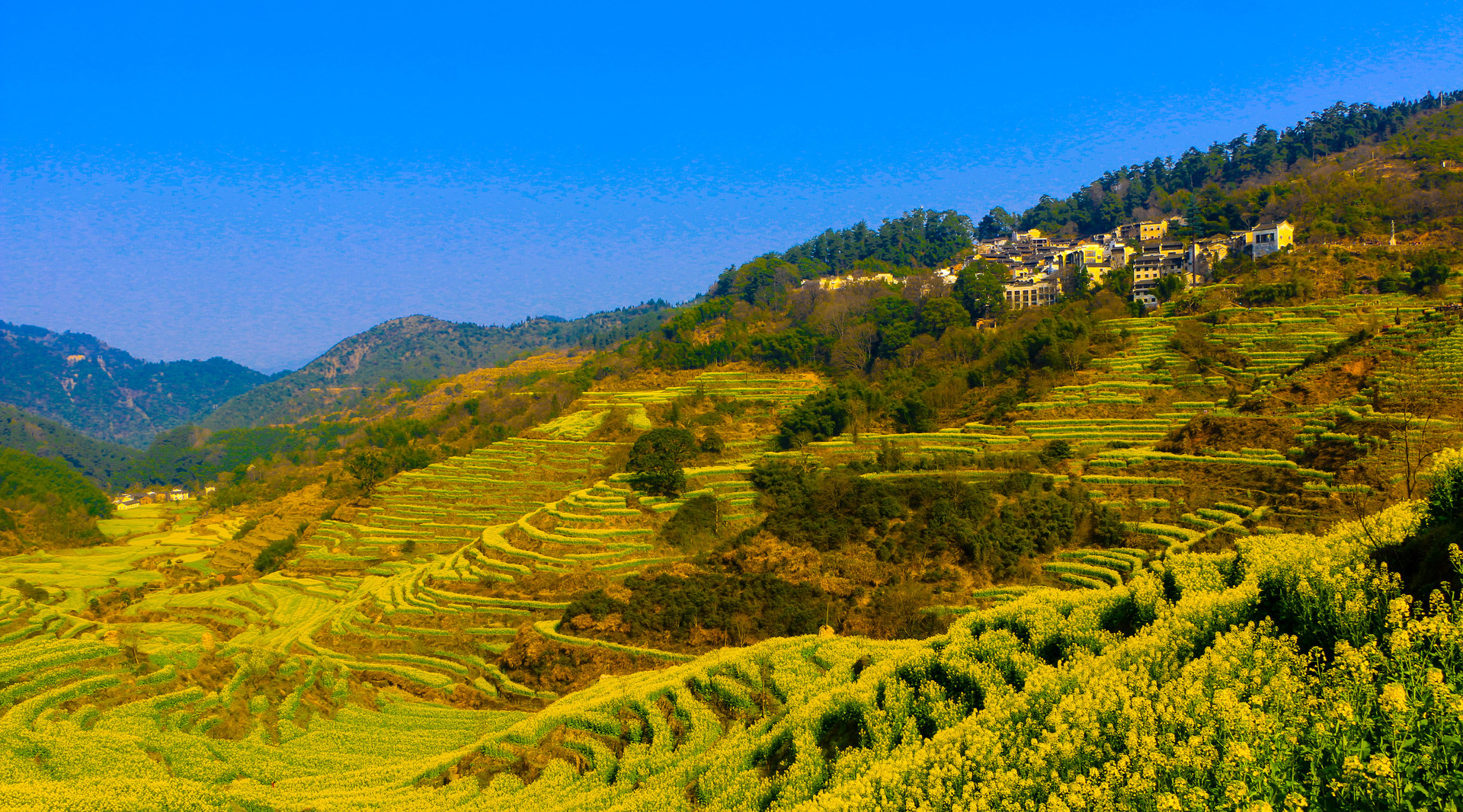 景點(diǎn)封面圖