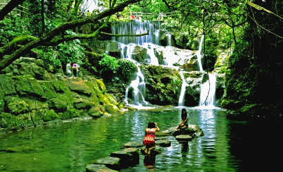 景點：鼎湖山風光