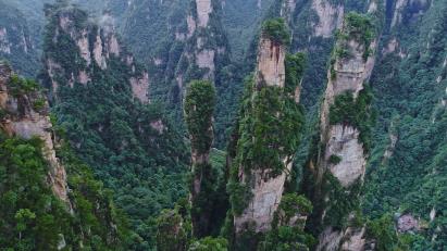 景點(diǎn):張家界武陵源峰林