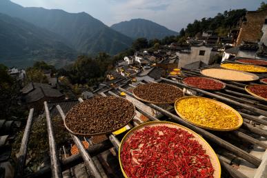 【國風畫卷】<廬山、鄱陽湖石鐘山、景德鎮(zhèn)、婺源篁嶺、三清山、夜游望仙谷6日游>
